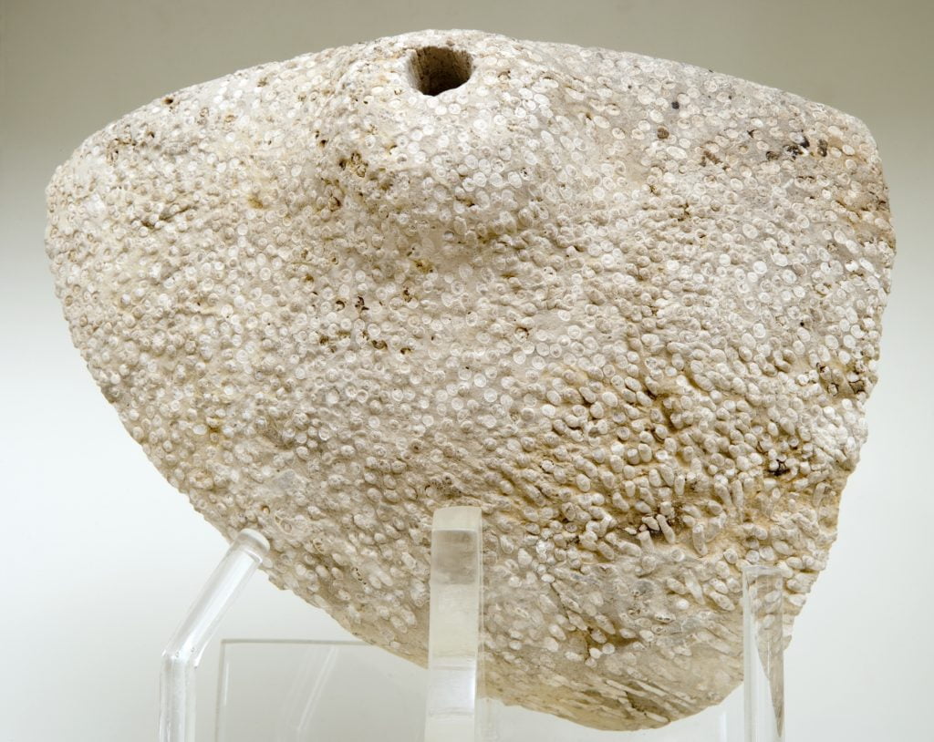 Limestone bowl at Jarrow Hall