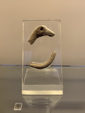 Stone Fragments Resembling a Bird Head 