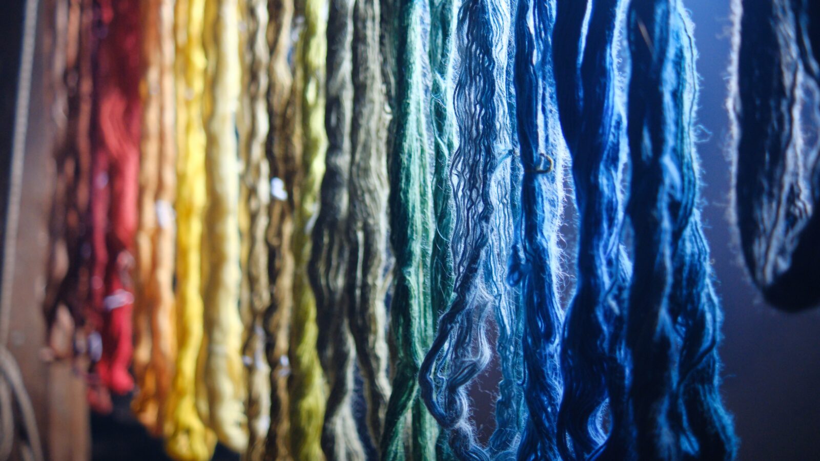 2025-05-25 Jarrow Hall_Larger size_MariaMaza (122)