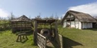 Anglo Saxon Farm and Animals